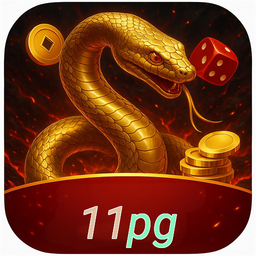 11pg.com